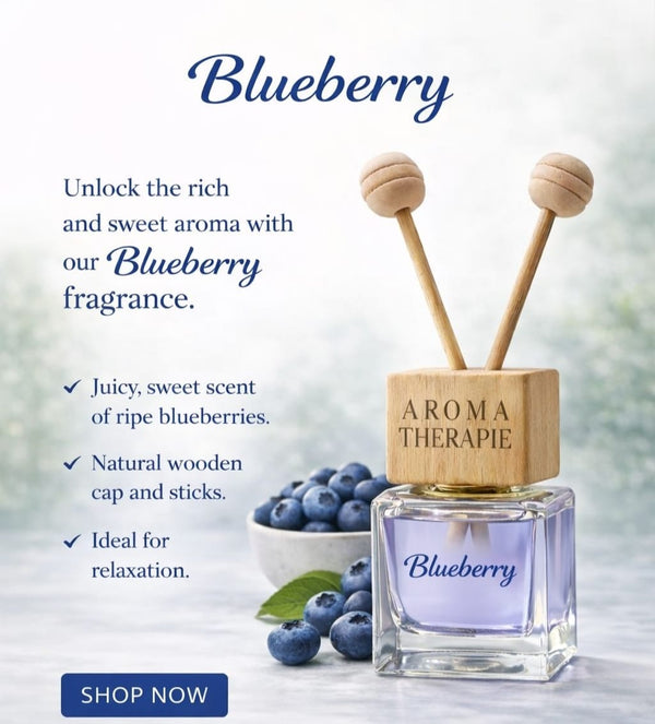 Lapir Blue Berry AC Car Vent Perfume | Long-Lasting Car Air Freshener